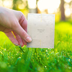 Seed Card | Design from Scratch [Premade Layout] 002